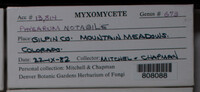 Image Associated With the Occurence